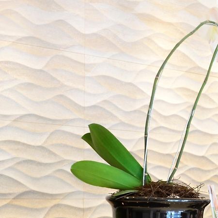 Kitara Hotel Jakarta Ngoại thất bức ảnh